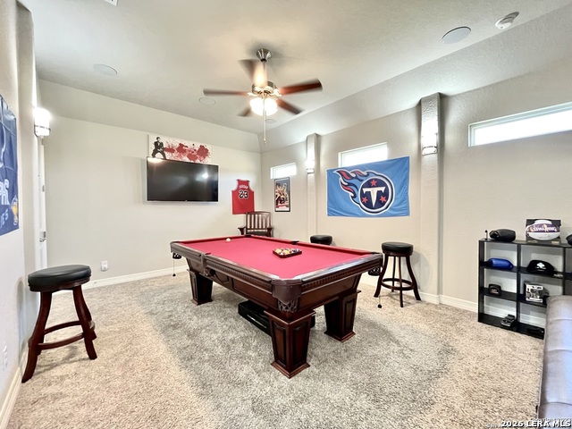 30527 Setterfeld Cir Property Photo 23