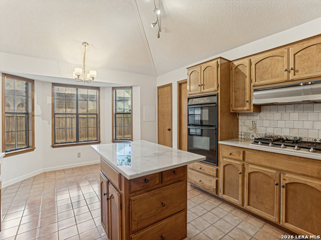 13707 Hunters Hawk St Property Photo 8