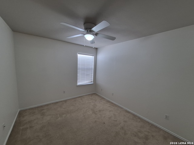 216 Hereford St Property Photo 11