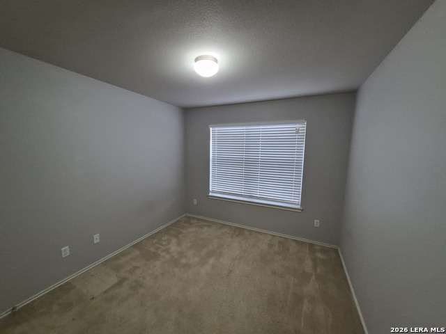 216 Hereford St Property Photo 24