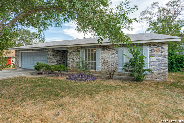11951 Alamo Blanco St Property Photo 2