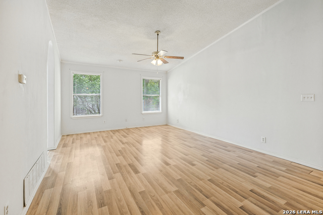 11951 Alamo Blanco St Property Photo 6