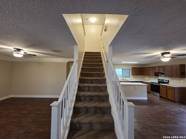 15831 Lomita Springs Dr Property Photo 19