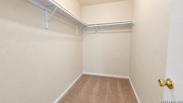 10010 Vasso View Property Photo 10