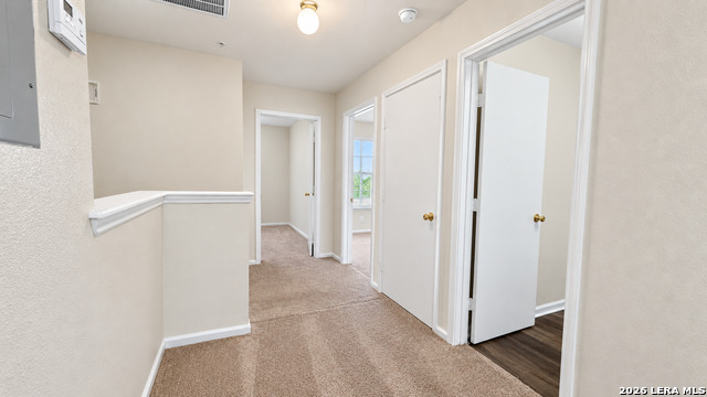 10010 Vasso View Property Photo 11
