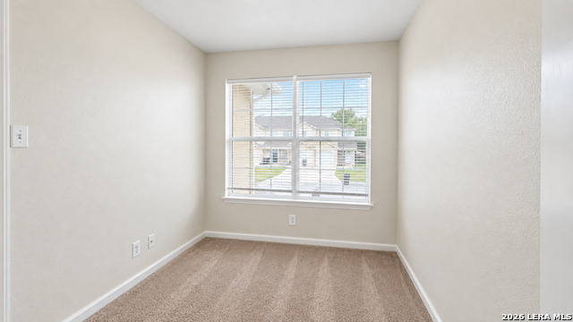 10010 Vasso View Property Photo 13