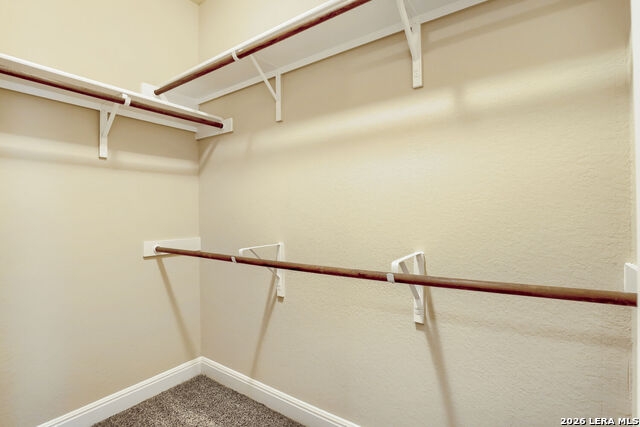 26903 Camellia Trce Property Photo 18