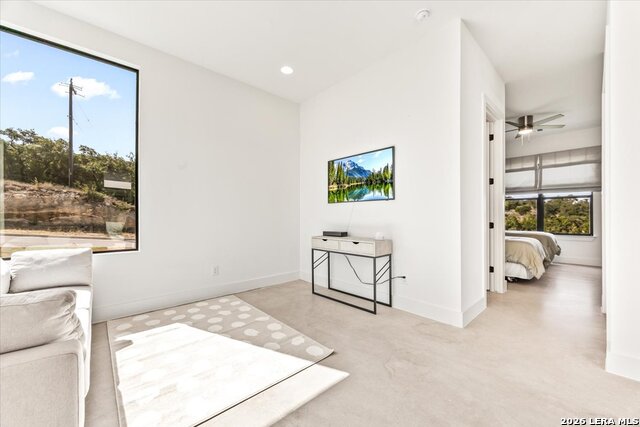 11017 Ashby Cyn Property Photo 44