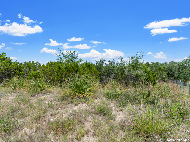 242 Ridge Pt Property Photo 5