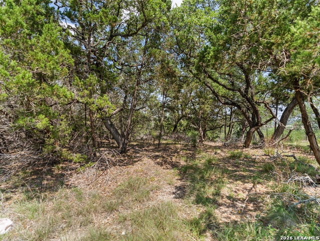 242 Ridge Pt Property Photo 6