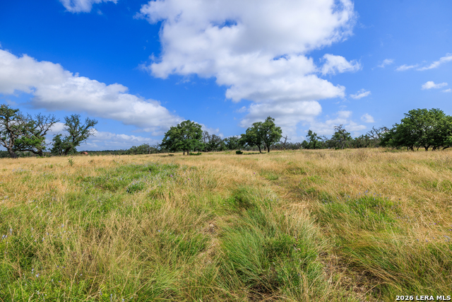 436 Stevens Ranch Property Photo 20