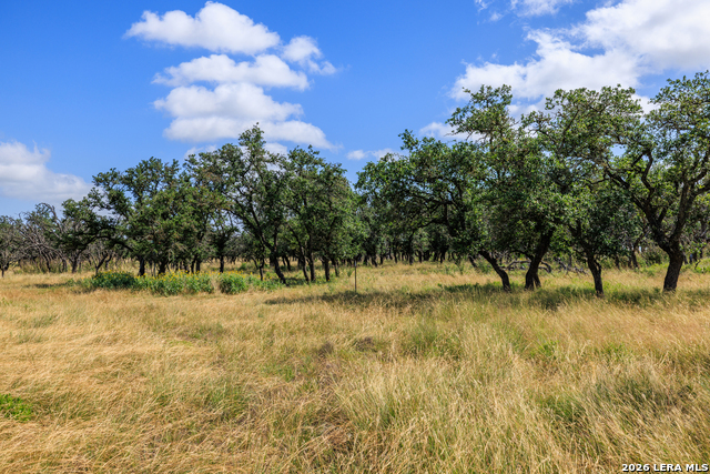 436 Stevens Ranch Property Photo 26