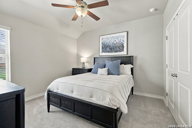 28530 Shailene Property Photo 20