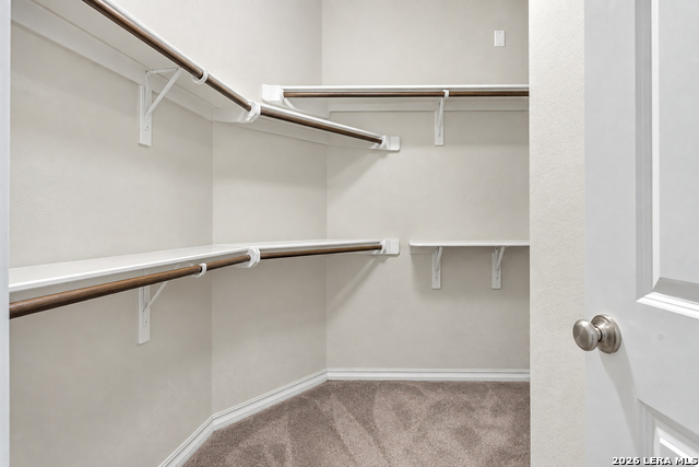 28530 Shailene Property Photo 36
