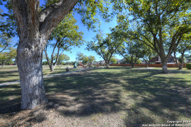 511 Pecan Forest Property Photo 34