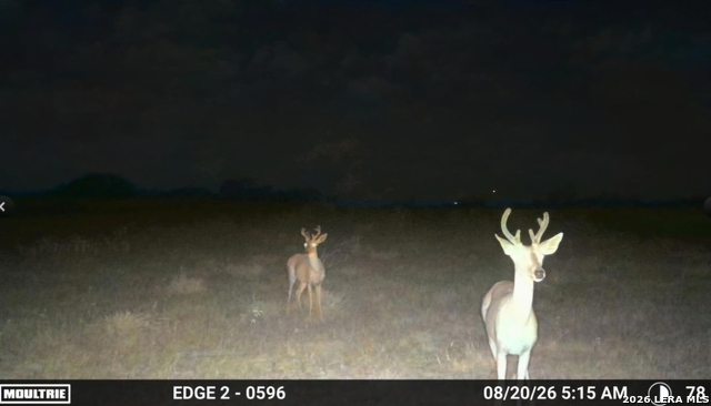 7275 S Hwy 281 Property Photo 4