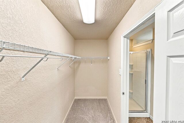 10810 Ranchland Fox Property Photo 28