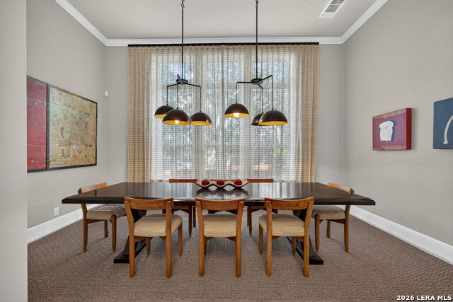 1627 Wild Peak Property Photo 7