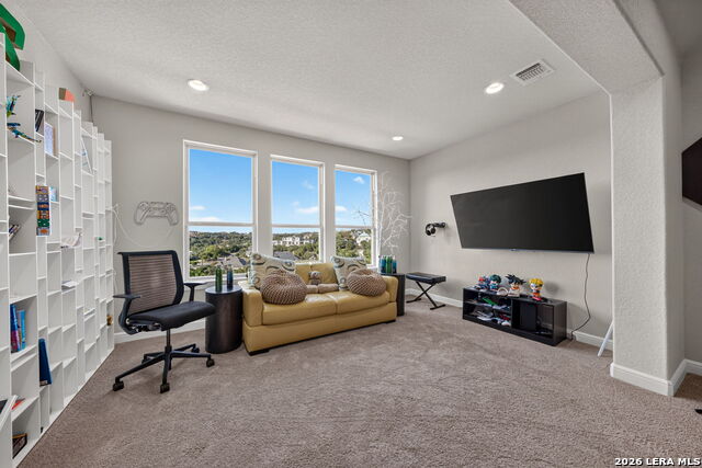 1627 Wild Peak Property Photo 19