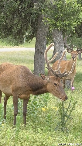 79 Lot Red Stag Property Photo 15