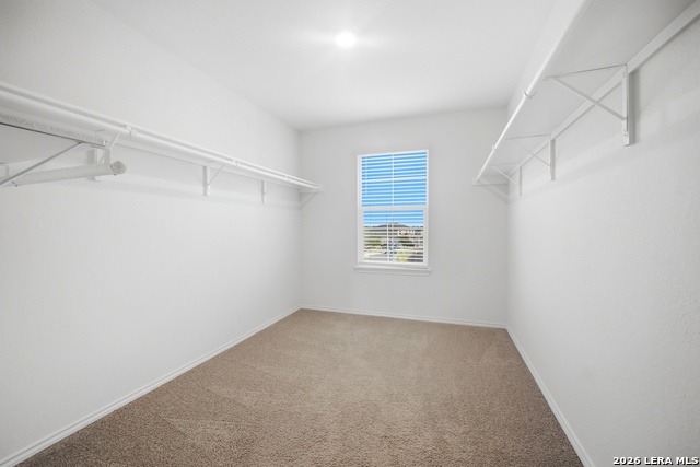 15603 Garam Trl Property Photo 24