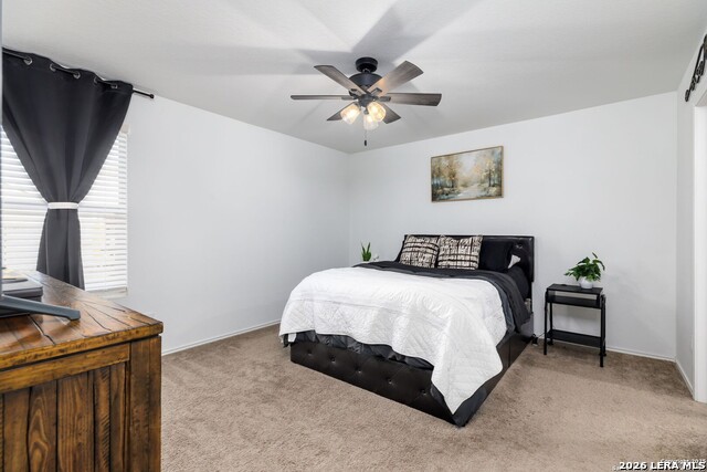 4117 Cataract Cir Property Photo 15