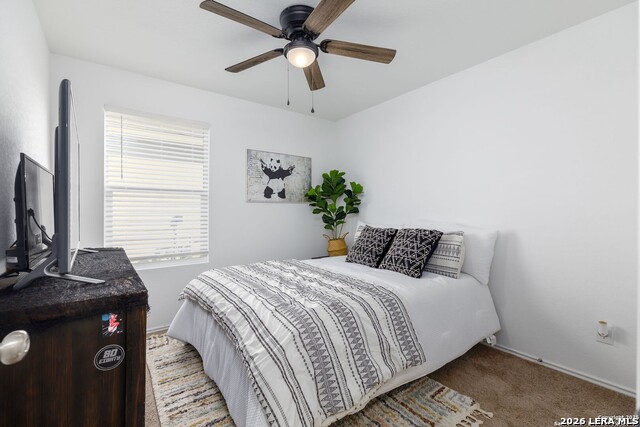 4117 Cataract Cir Property Photo 19