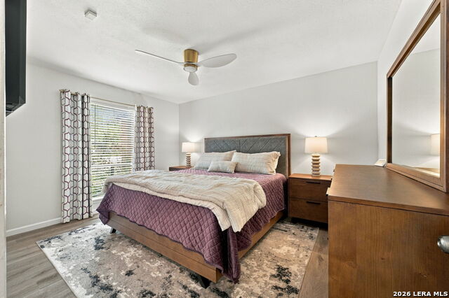 12423 Paige Trail Property Photo 16