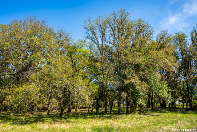 126 Childress Property Photo 34