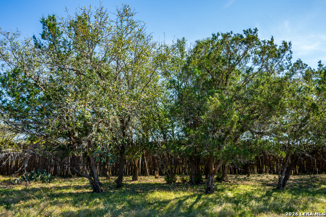 126 Childress Property Photo 37