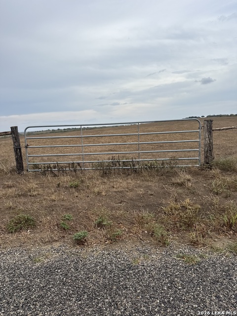 43.75 Ac +/- Martinez Rd Property Photo 5