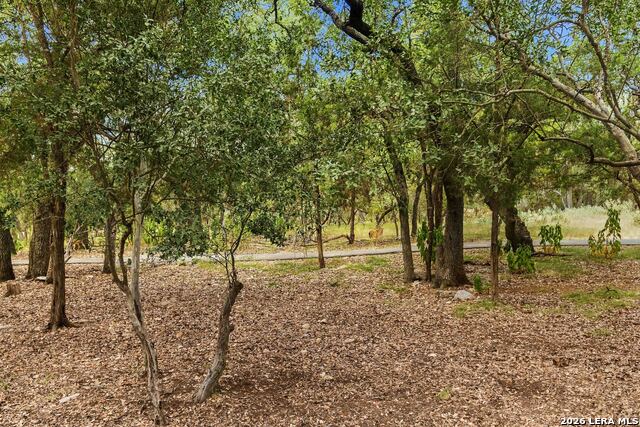 199 Roseheart Property Photo 36