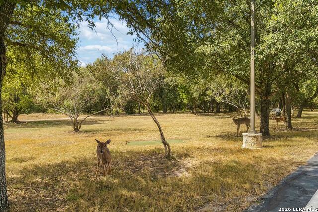 199 Roseheart Property Photo 38