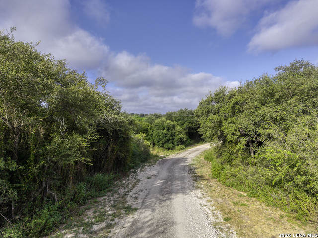 15821 State Highway 55 Property Photo 6