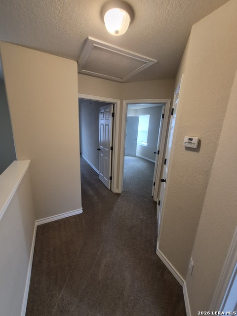 16825 Showdown Path Property Photo 12