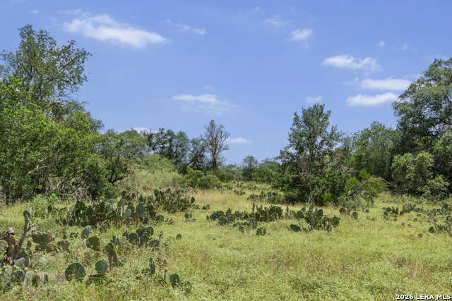 Tbd 493 Acres Fm 1957 Property Photo 12