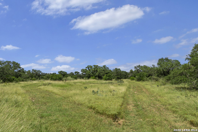 Tbd 493 Acres Fm 1957 Property Photo 13