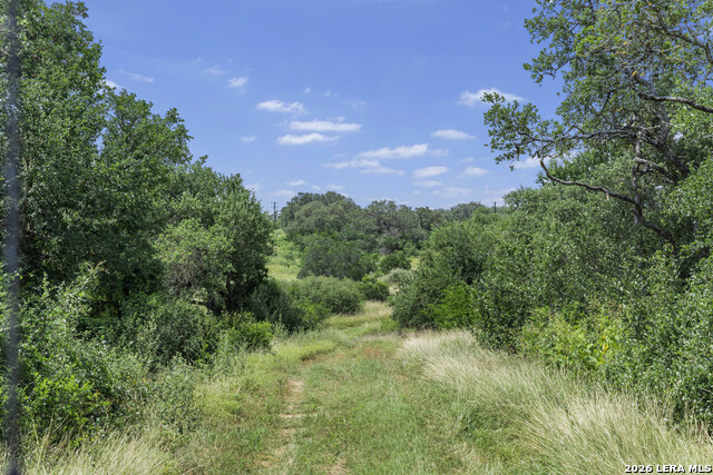 Tbd 493 Acres Fm 1957 Property Photo 16