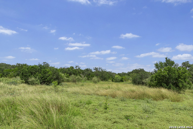 Tbd 493 Acres Fm 1957 Property Photo 17