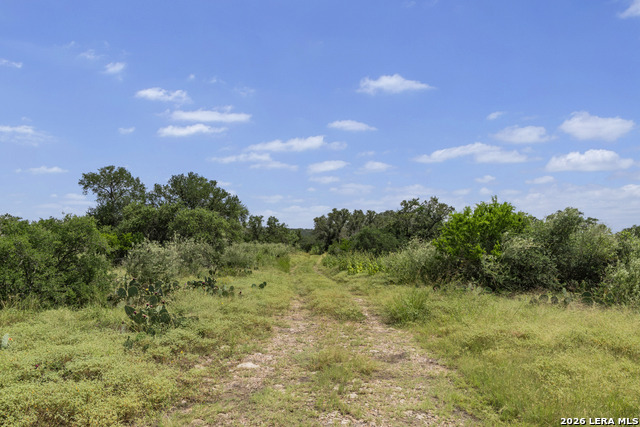 Tbd 493 Acres Fm 1957 Property Photo 19