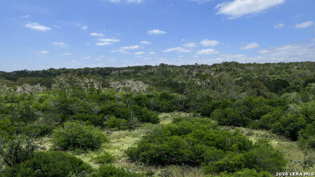 Tbd 493 Acres Fm 1957 Property Photo 30
