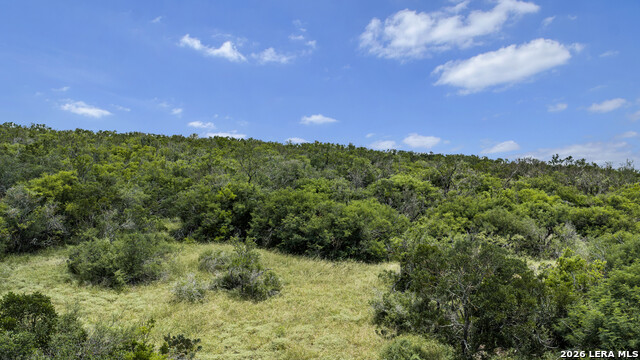 Tbd 493 Acres Fm 1957 Property Photo 33