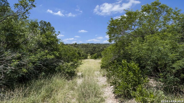 Tbd 493 Acres Fm 1957 Property Photo 38