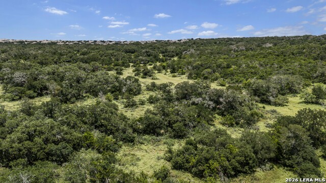 Tbd 493 Acres Fm 1957 Property Photo 40