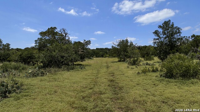 Tbd 493 Acres Fm 1957 Property Photo 42