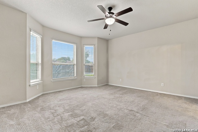 9958 Belmore Cv Property Photo 10