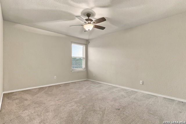 9958 Belmore Cv Property Photo 19