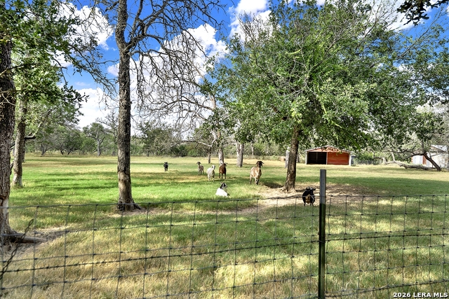 1021 Fm 3432 Property Photo 16