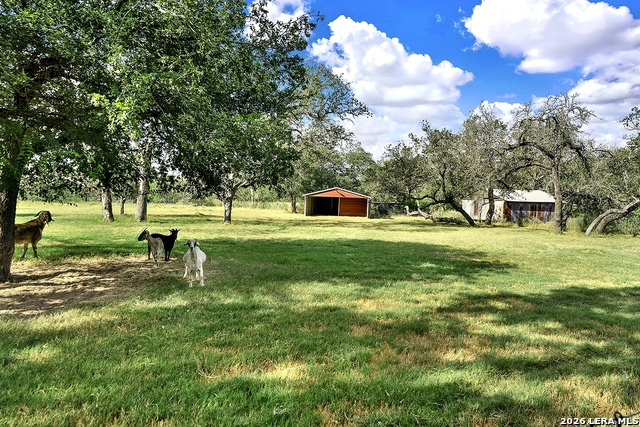 1021 Fm 3432 Property Photo 17