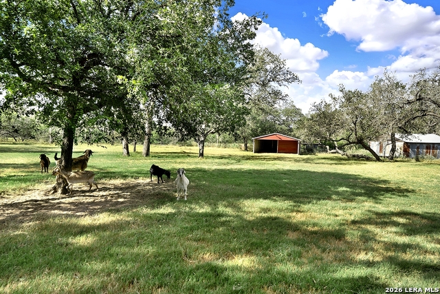 1021 Fm 3432 Property Photo 18